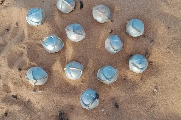 TGA0884 – Malian Air Force Deploys RBK-500 Cluster Munitions Against Rebels