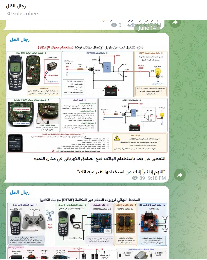 TGA0890 – Islamist Guide for RC Initiation Systems and DTMF-Based RC Robots