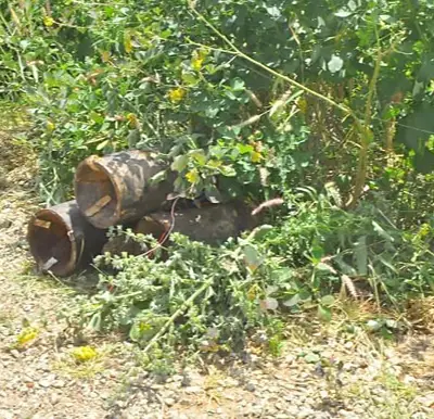 Mobius report 62/2026 - ISWAP Directional and Underbelly IEDs in Northern Nigeria