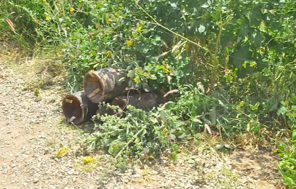 Mobius report 62/2026 – ISWAP Directional and Underbelly IEDs in Northern Nigeria