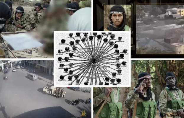Hydra report July 2026 – Foreign Fighters Participate in Mogadishu Prison Break, Al-Shabaab Warns Against Israeli, Emirati Encroachment